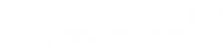 NETHEN TECH - AI Automation Agency
